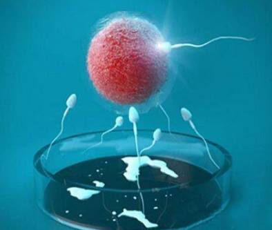 有偿代孕服务方式门诊